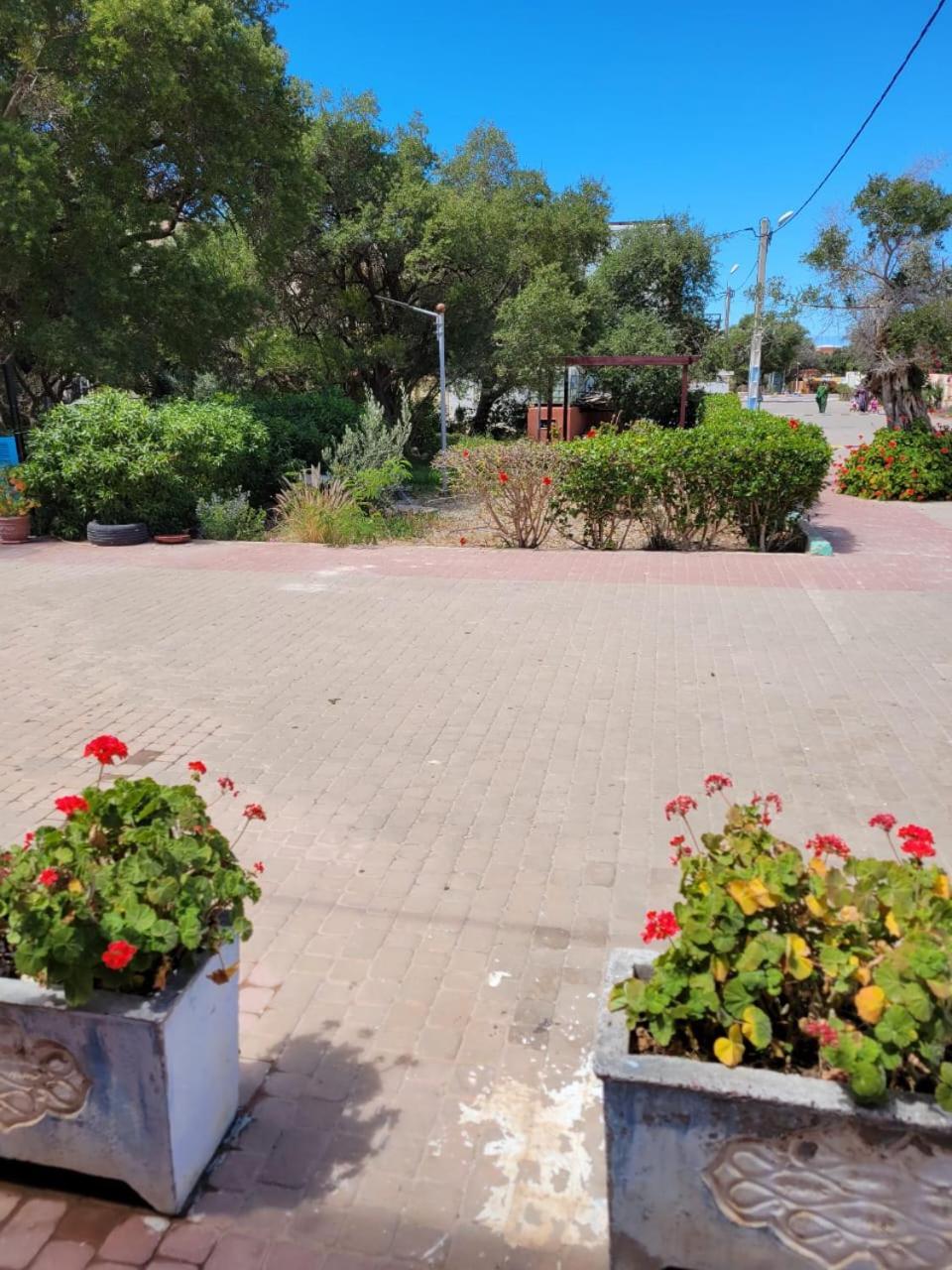 Imi Ouaddar Apartment Just Steps From The Beach Agadir n'Ait Sa Exterior photo